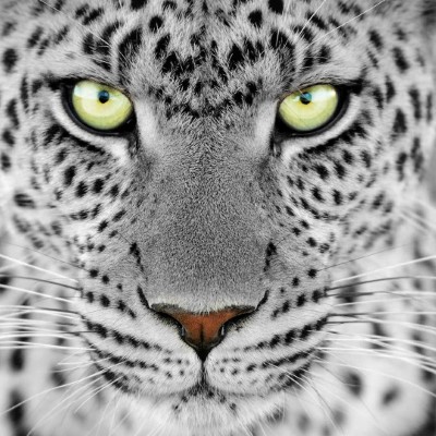1920 x 1080 HD Wallpapers 1496